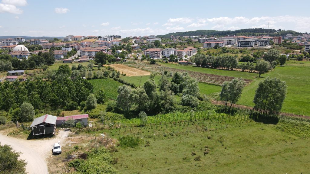 DJI_0824