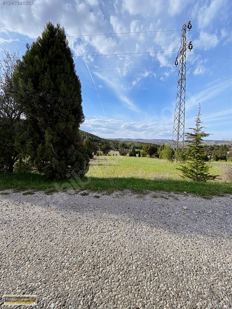 imgi_75_x16_1247341253ykb