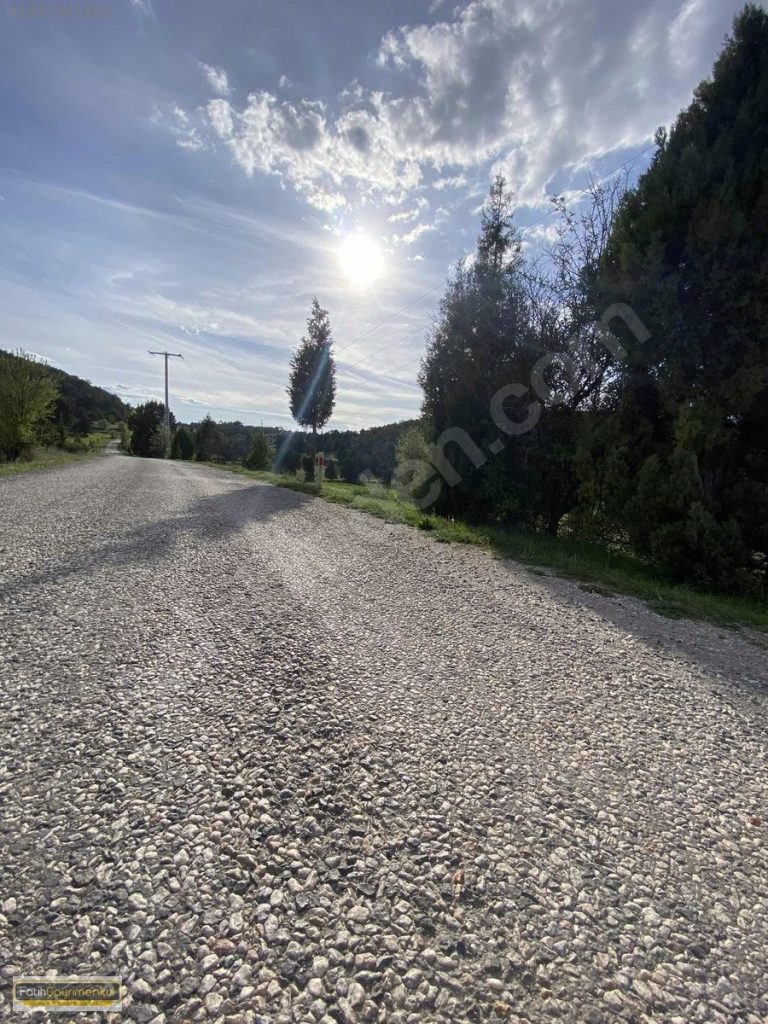 imgi_79_x16_12473412539i8